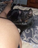 Анкета проститутки Каролина - метро Нагатино-Садовники, возраст - 23